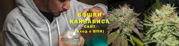 ГАЛЛЮЦИНОГЕННЫЕ ГРИБЫ Алексеевка
