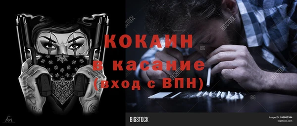 индика Алзамай
